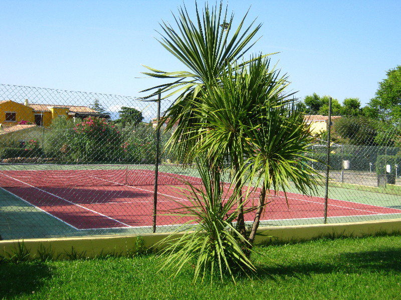 Hotel Le Mimose San Teodoro  Facilities photo